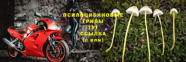 марки nbome Аркадак