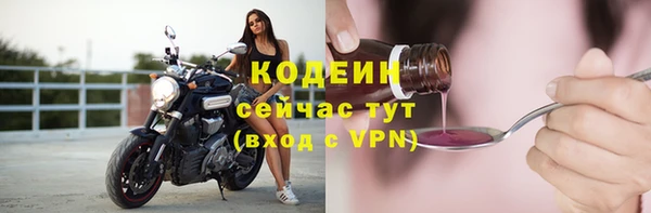 молекула духа Покров