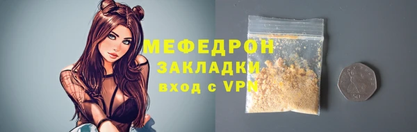 стаф Арсеньев