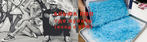 стаф Арсеньев