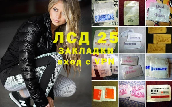 стаф Арсеньев